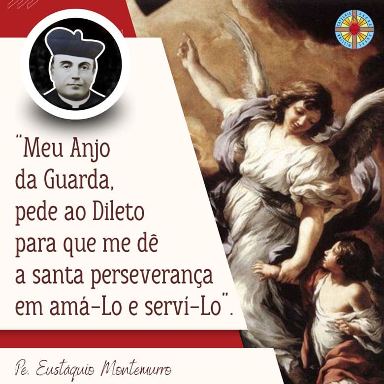 Meu Anjo